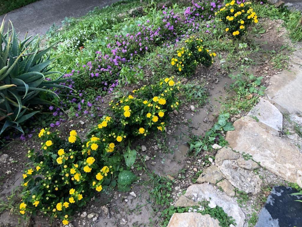 B&B Tenuta La Puntara Caltanissetta Exteriör bild