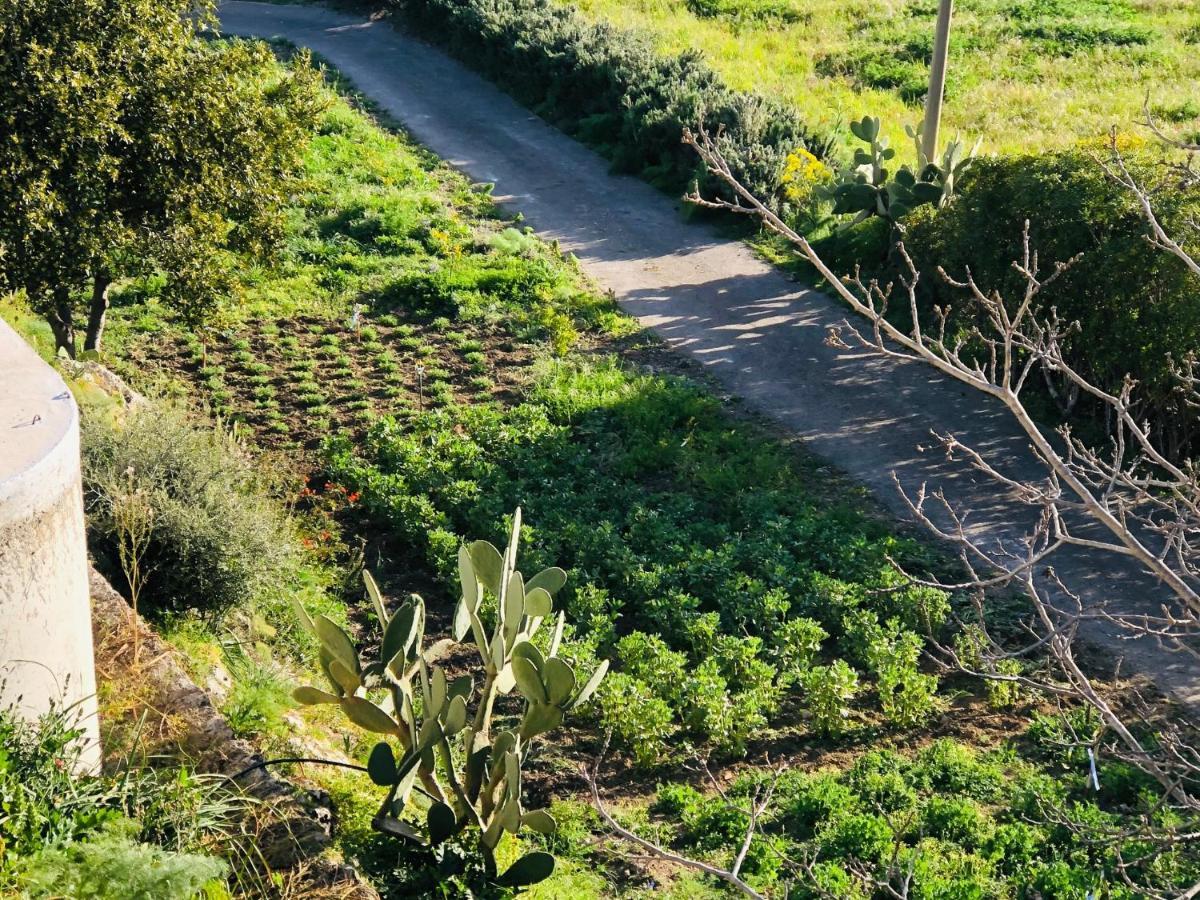 B&B Tenuta La Puntara Caltanissetta Exteriör bild