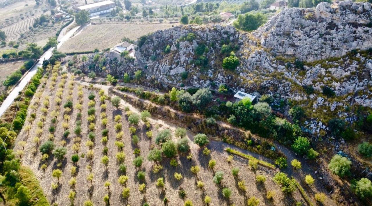B&B Tenuta La Puntara Caltanissetta Exteriör bild