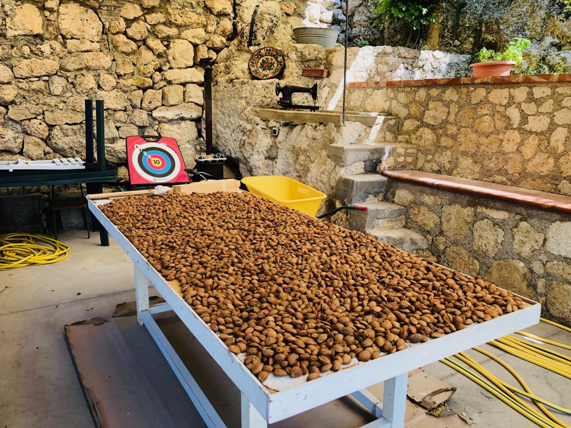 B&B Tenuta La Puntara Caltanissetta Exteriör bild